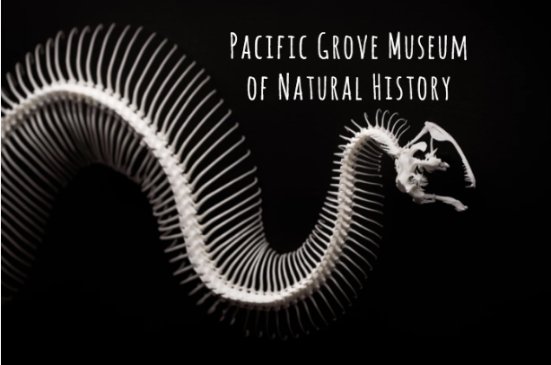 Pacific Grove Museum of Natural History