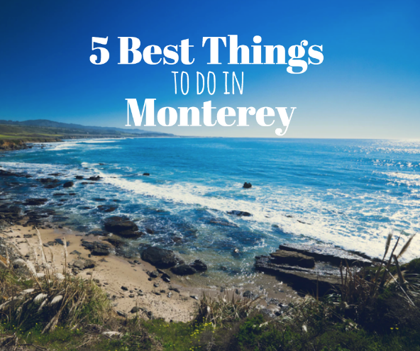 5 Best things to do in Monterey
