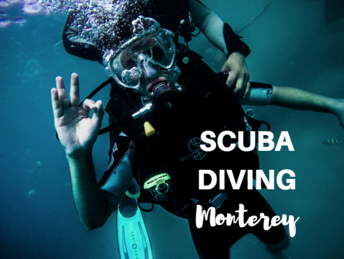 scuba diving monterey ca