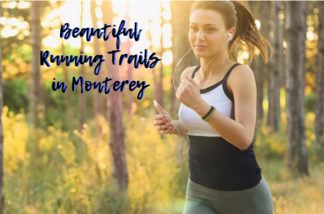 monterey running trails