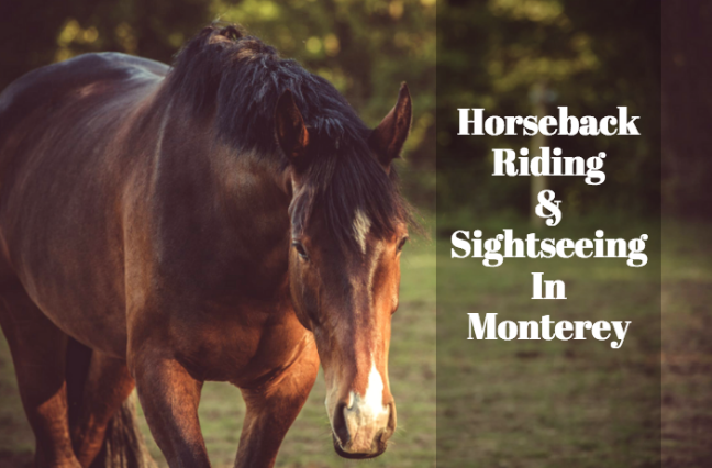 monterey bay horseback riding