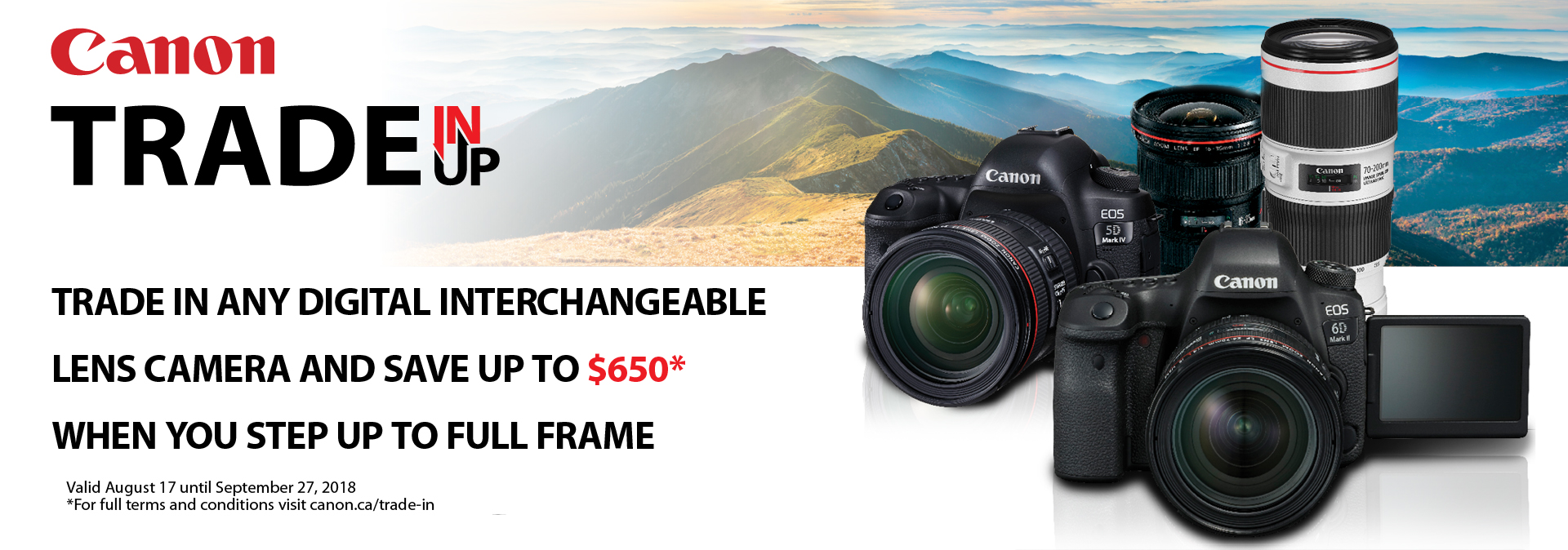 Home Kerrisdale Cameras