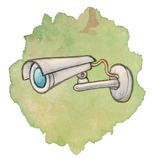 vigilancia mesfix