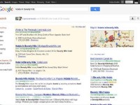 google search results page