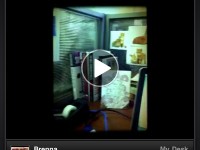 using the viddy video tool