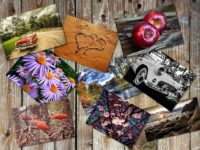 collage of pictures