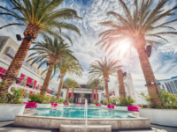 palm trees at hotel during sunset