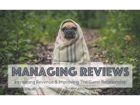 managing customer reviews