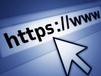website search bar