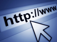 website search bar