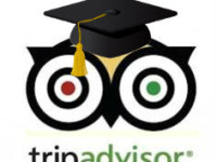 tripadvisor owl with graduation cap