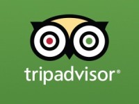 tripadvisor logo