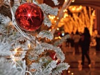 close-up of frosted christmas tree with red ornament