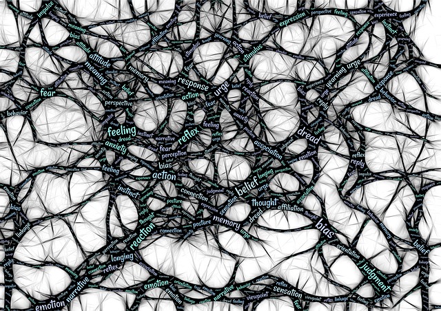 tangled web of nerves