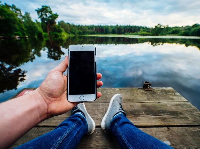 person checking their phone