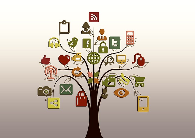 social media promotions