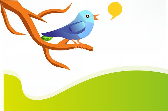 twitter bird