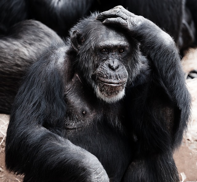 thinking