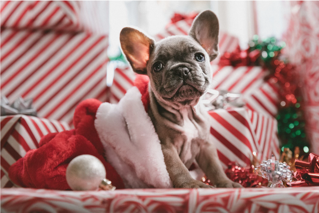 Promote your business on social media for the holidays!