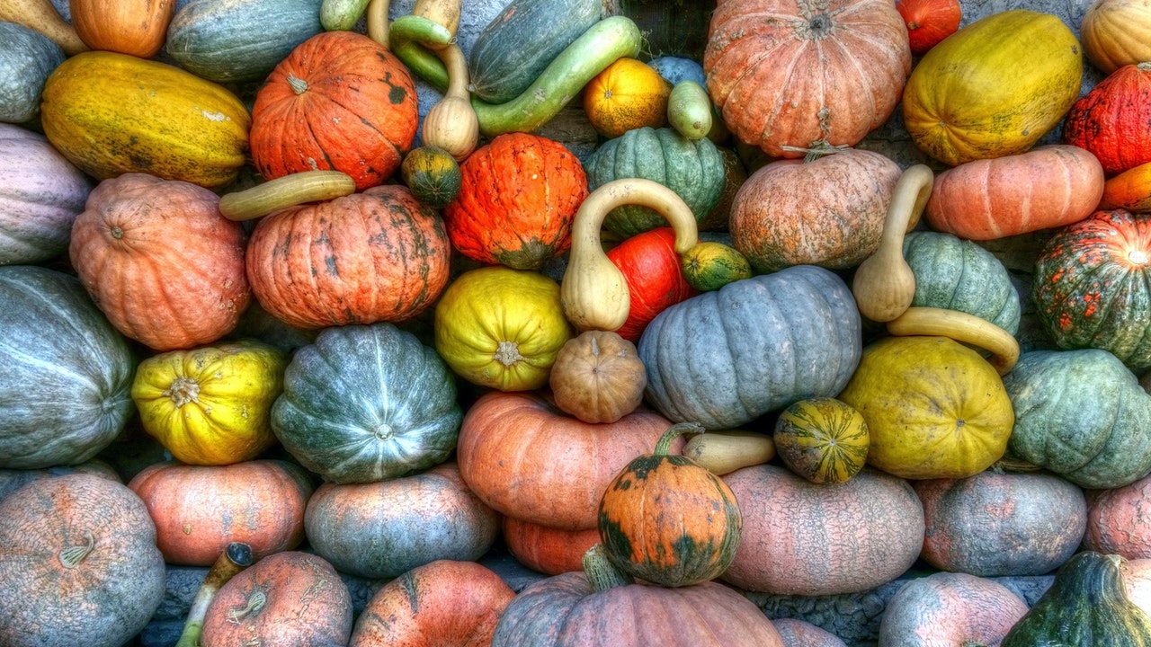 pumpkins and gourds