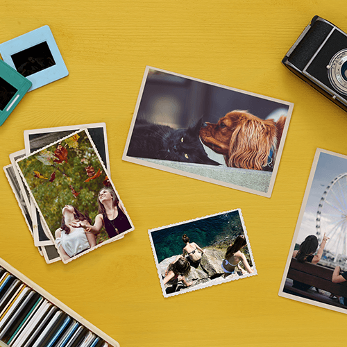 slides photography