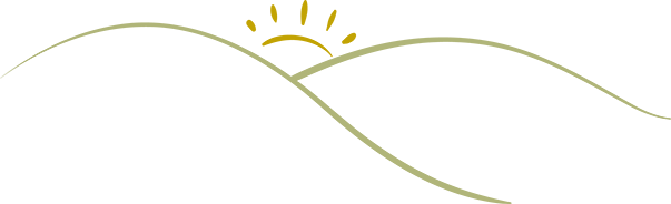 Cumberland Valley Graphic Logo