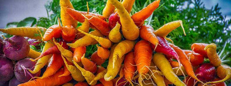 Uptown Westerville Farmer’s Market
