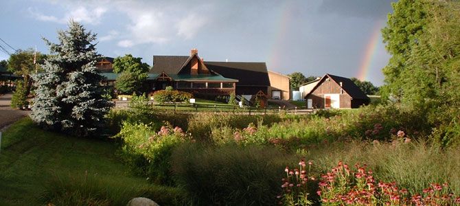 greenery in front of Debonne Vineyards with rainbows