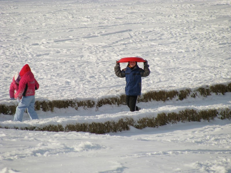 a group of children play on a sledding hill in dublin, ohio
