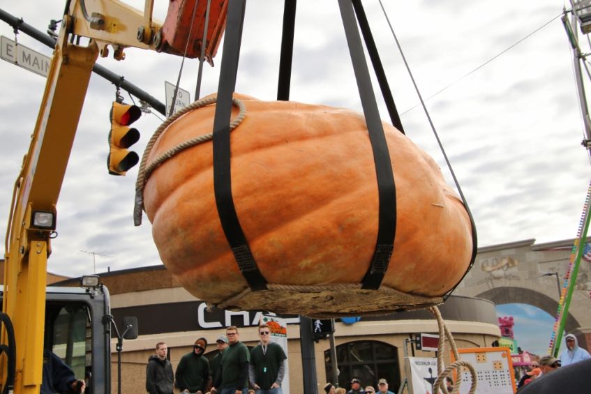 a crane lifts a giant pumpkin for the weigh-in at the circleville pumpkin show