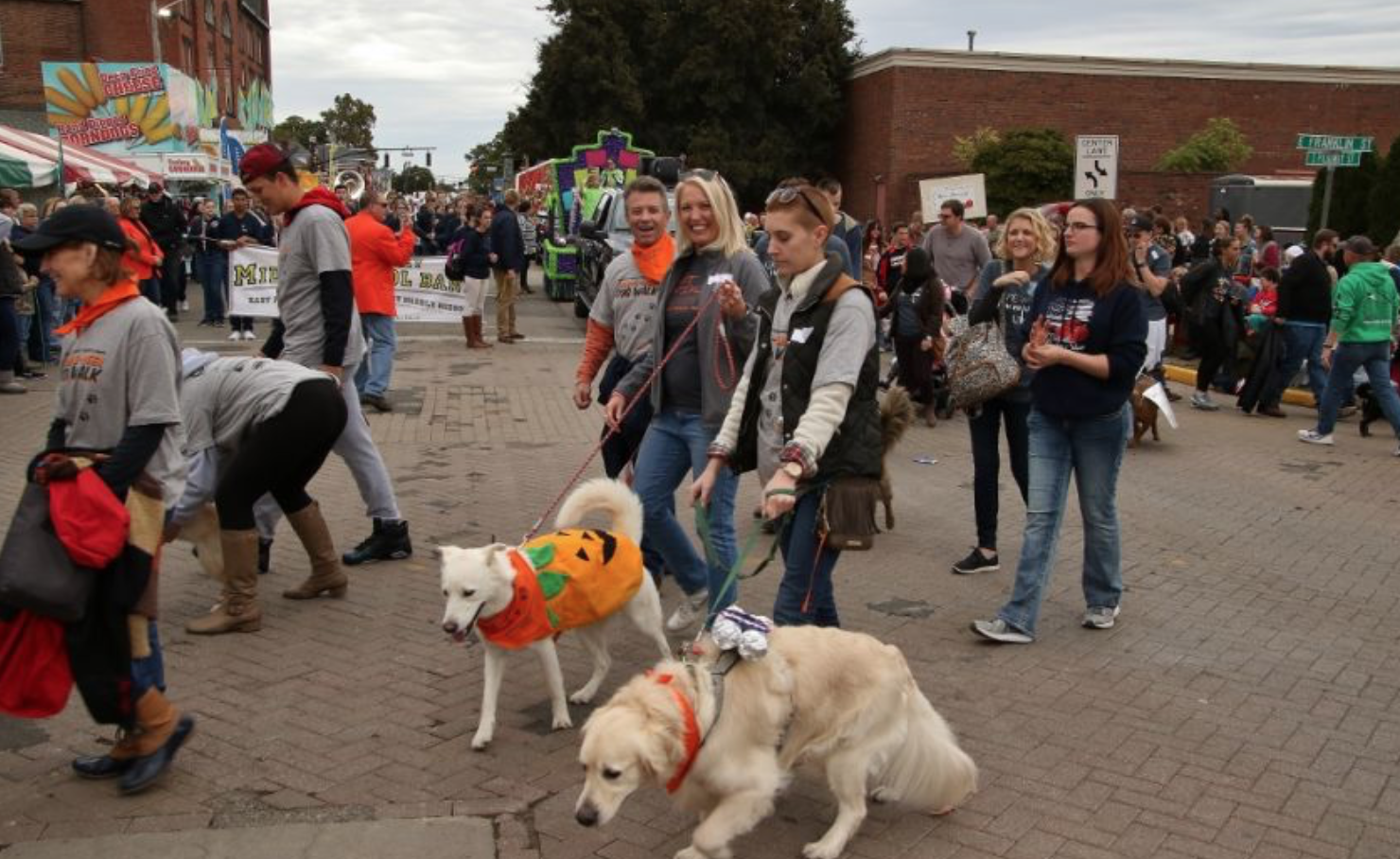 participants walk two dogs dressed as pumpkins at the circleville pumpkin show pet parade