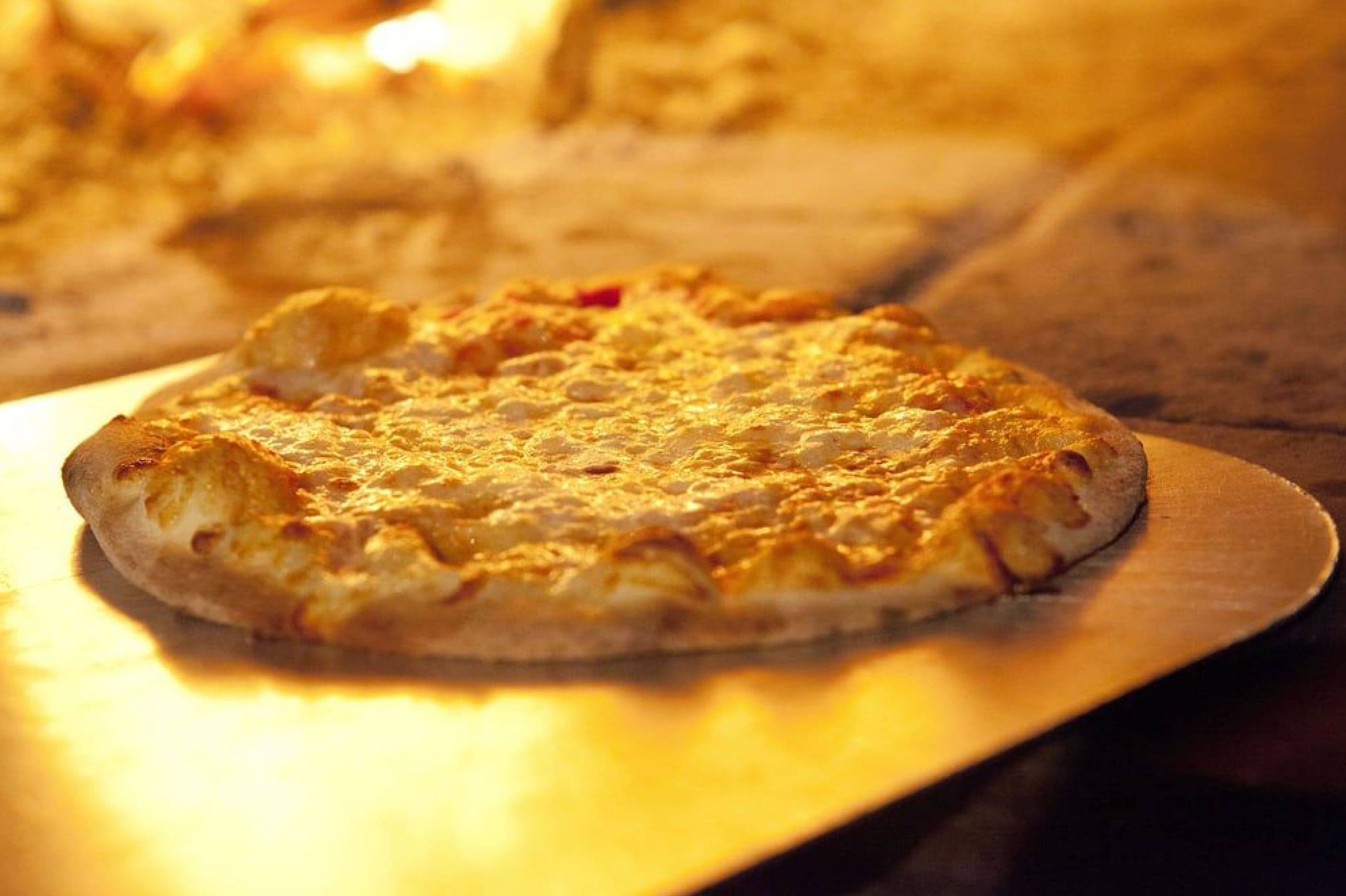 Cheese pizza on open oven