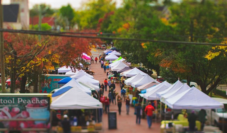 aerial view of the Thanksgiving Farmers Market