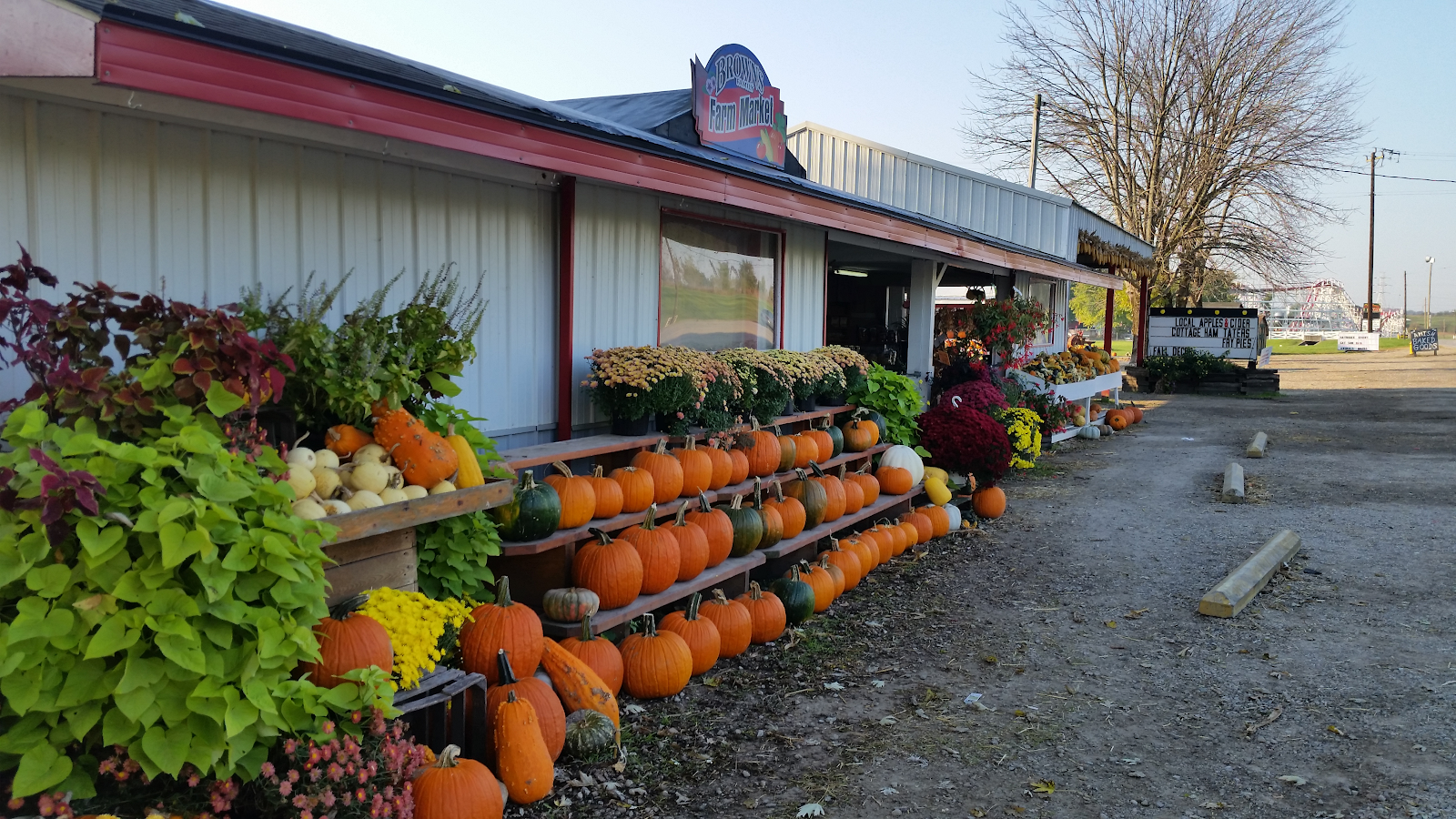 Best Farms and Pumpkin Patches for Fall Fun Near Dayton, OH