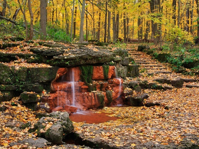 rocks and leaves
