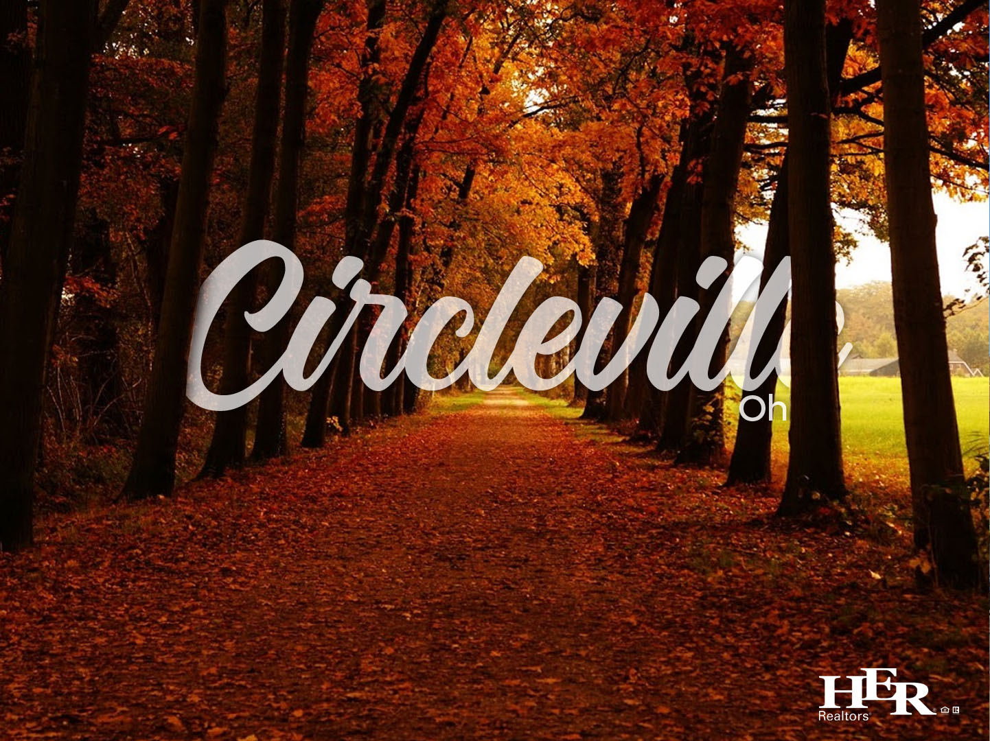 a hiking trail covered in colorful orange fall leaves in circleville ohio