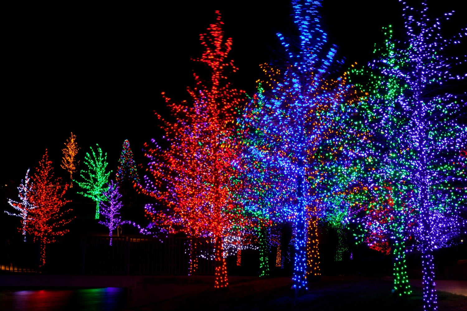 Ashtabula County's Lights on the Lake