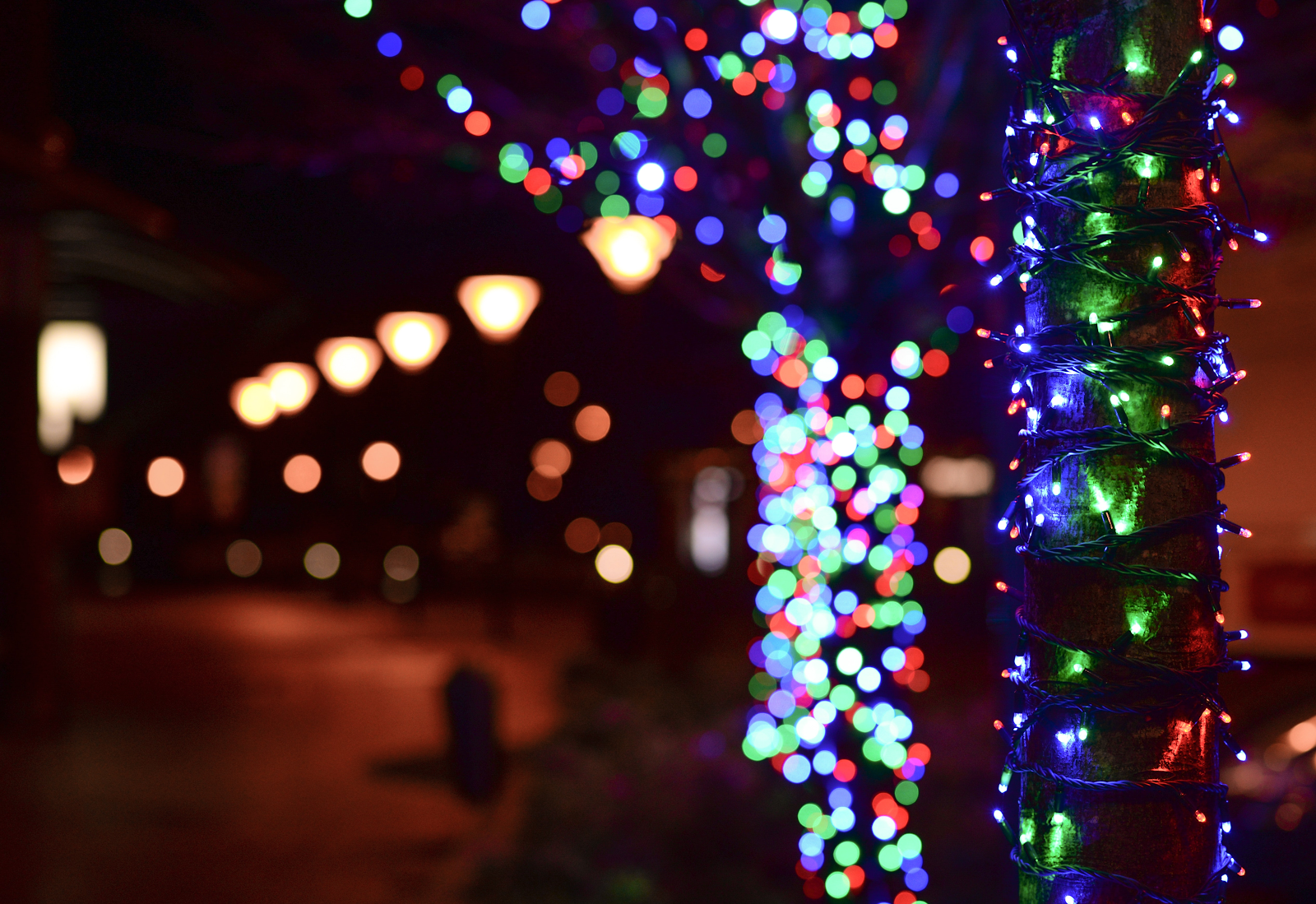 Christmas Lights on Tree