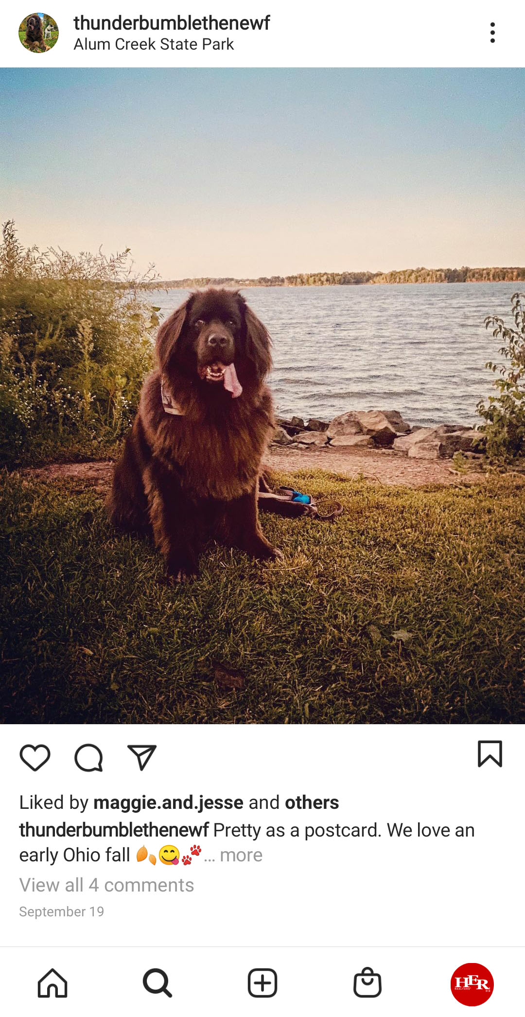 dog sitting at alum creek state