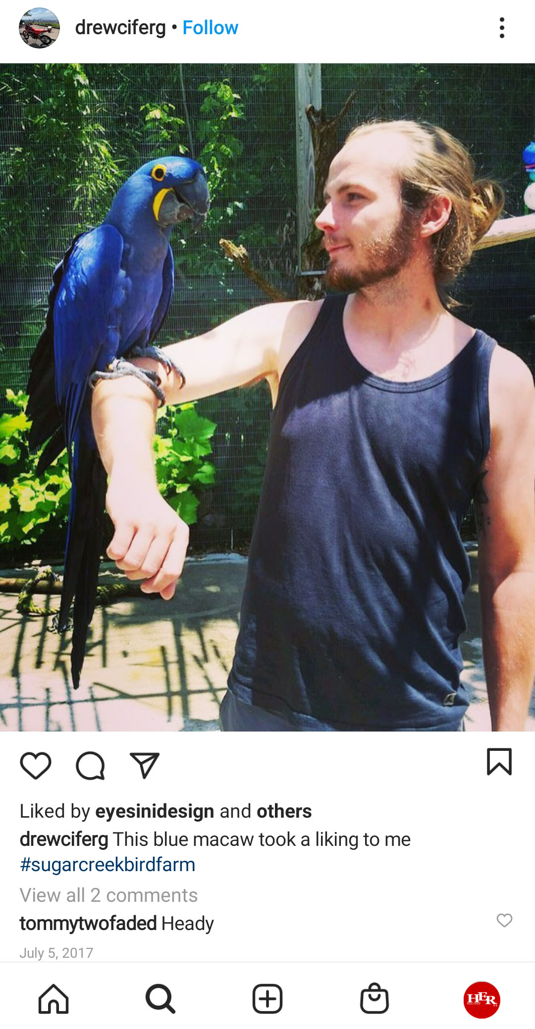 man and bird
