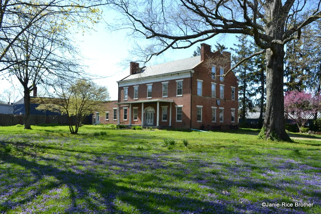 house hunt
