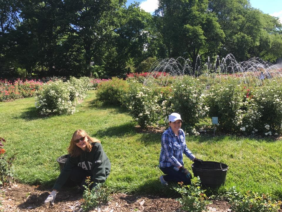two women gardening with bushes and fountain in background