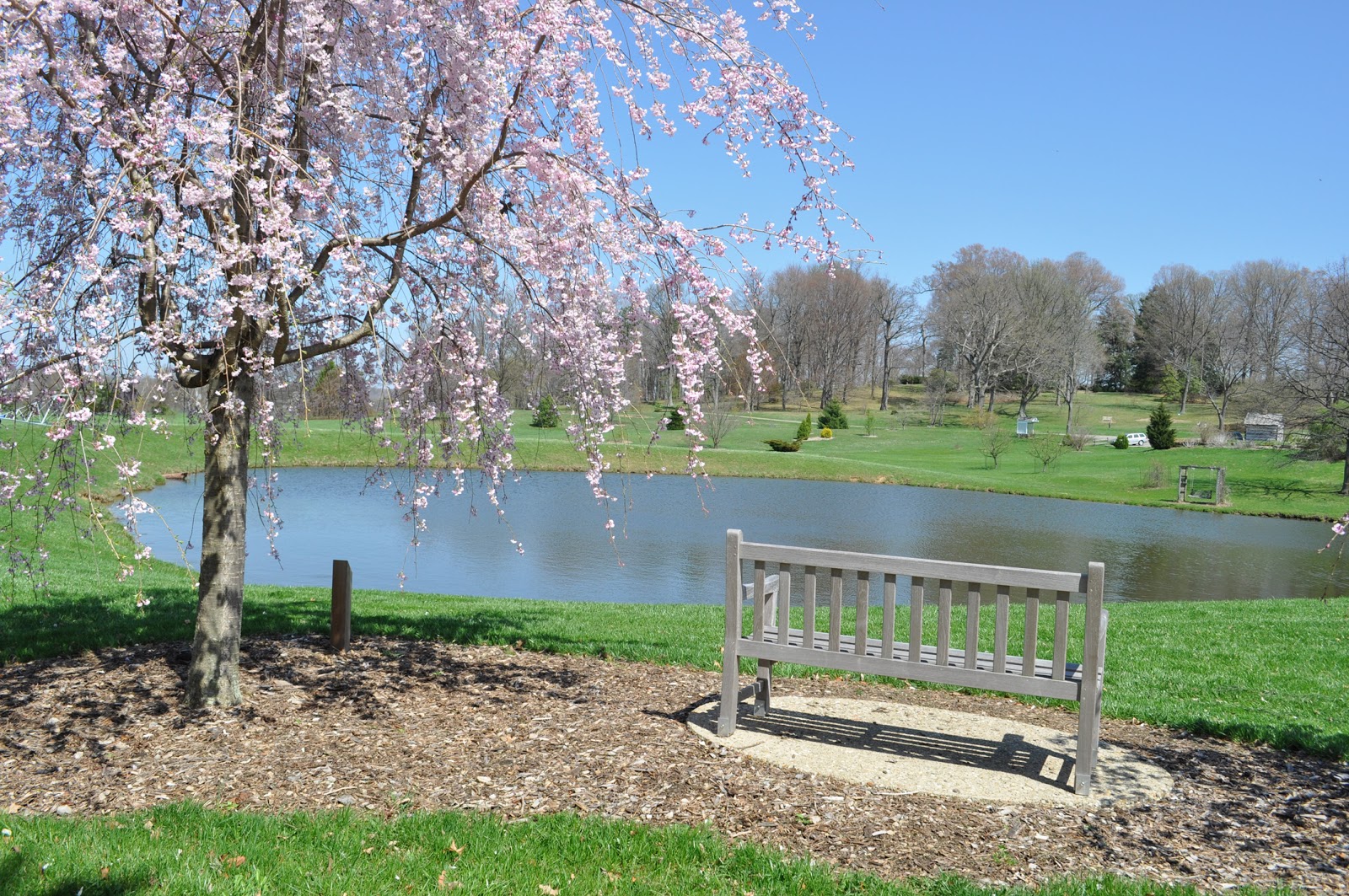 Dawes Arboretum