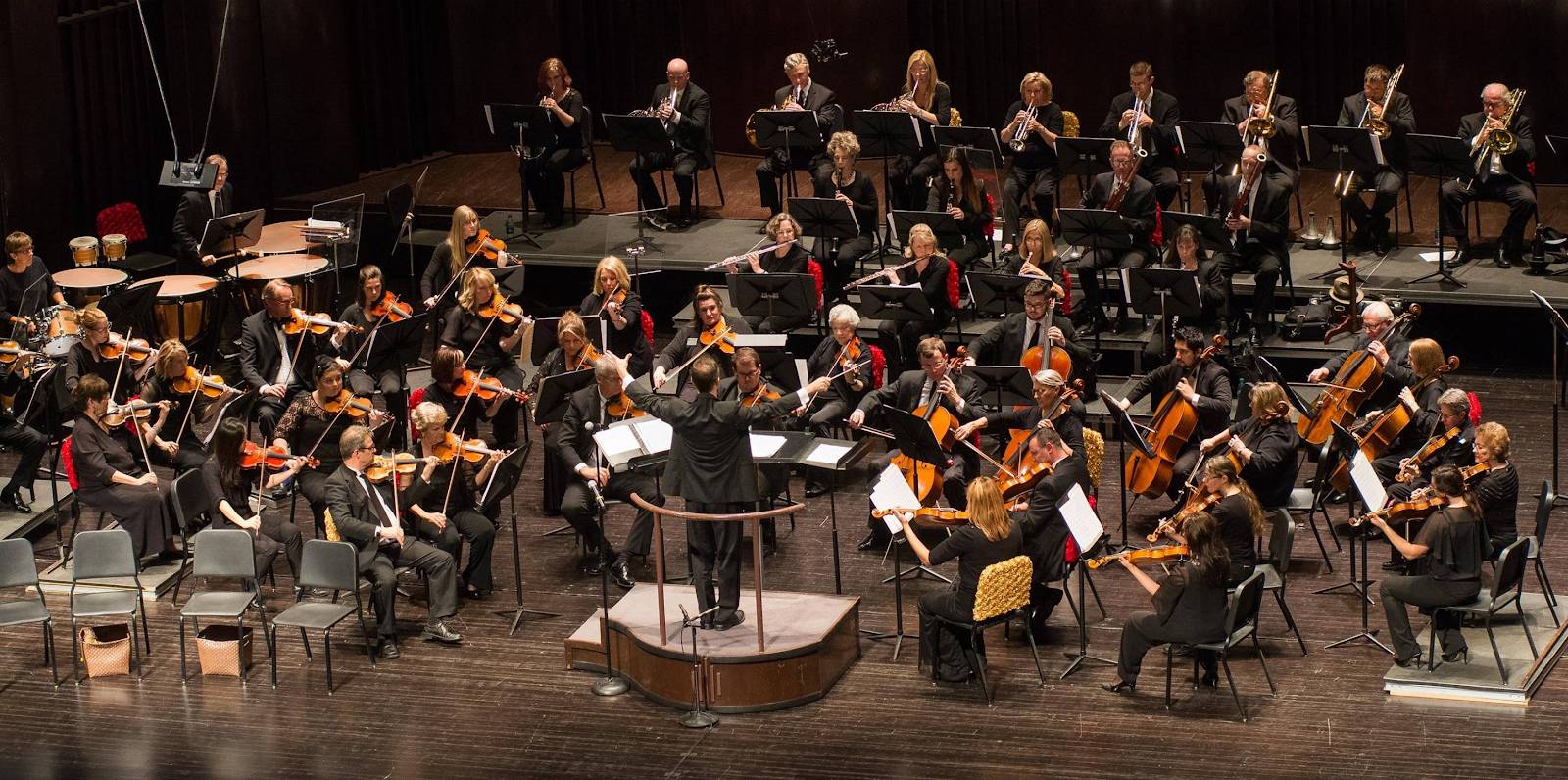 The Springfield Symphony Orchestra
