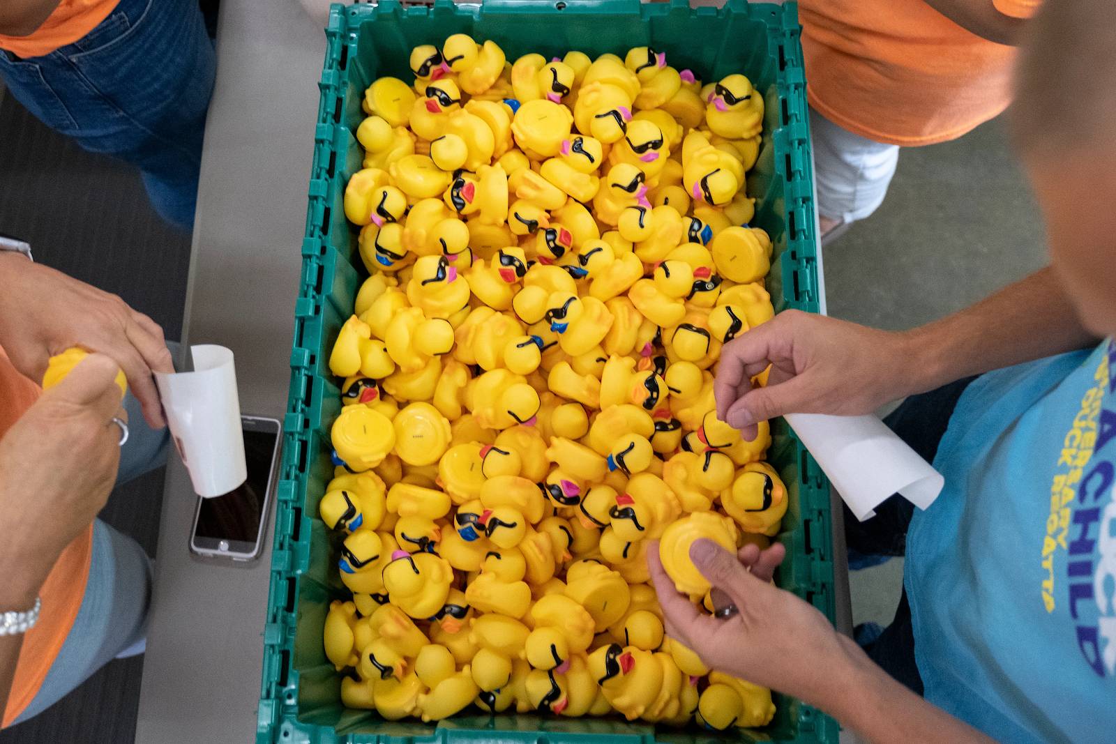 Buy a duck