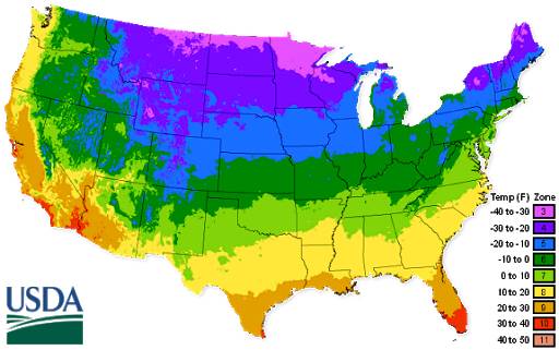 Get In The Growing Zone When To Plant What In Ohio