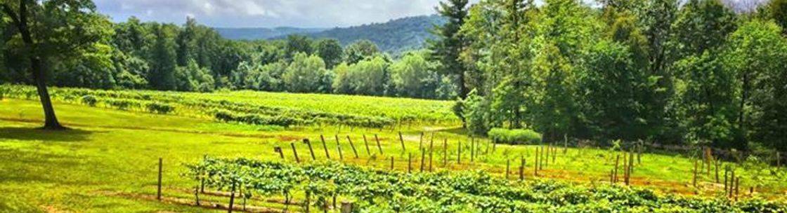 Image result for french ridge vineyards
