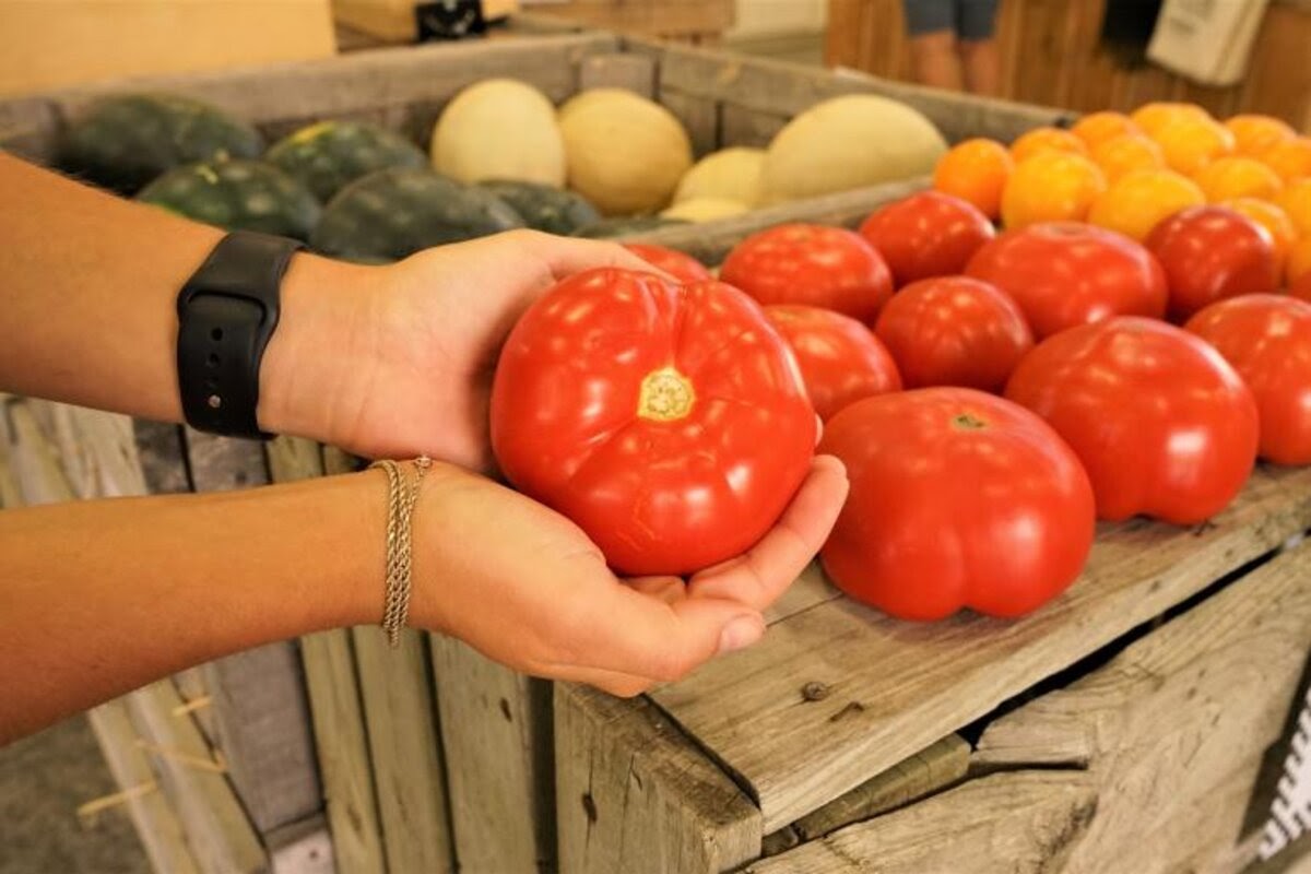 Hands holding a tomato in front of various stocked produce.
