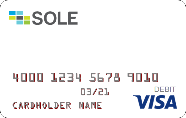 get a sole paycard payroll card service via wisewage the direct deposit payroll experts - Visa Payroll Card get a sole paycard payroll card service via wisewage the direct deposit payroll experts - Visa Payroll Card