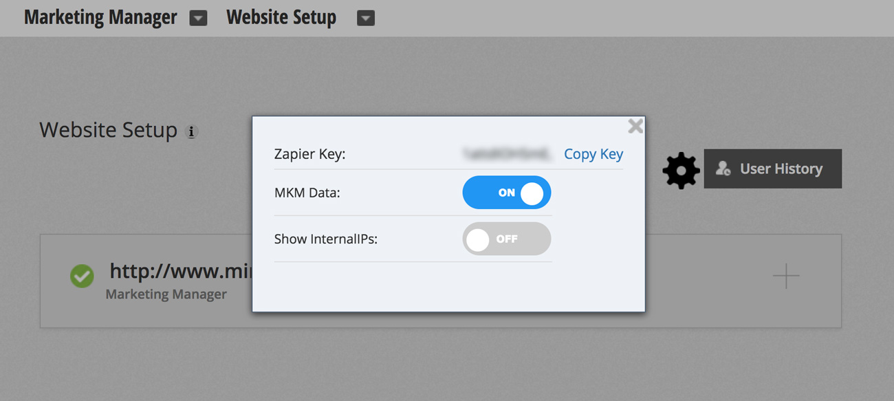 marketing manager zapier integration